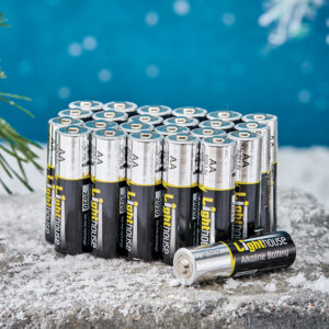 Battery Pack 24 x AA