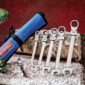 6 Piece Ratcheting Combi Spanner Set